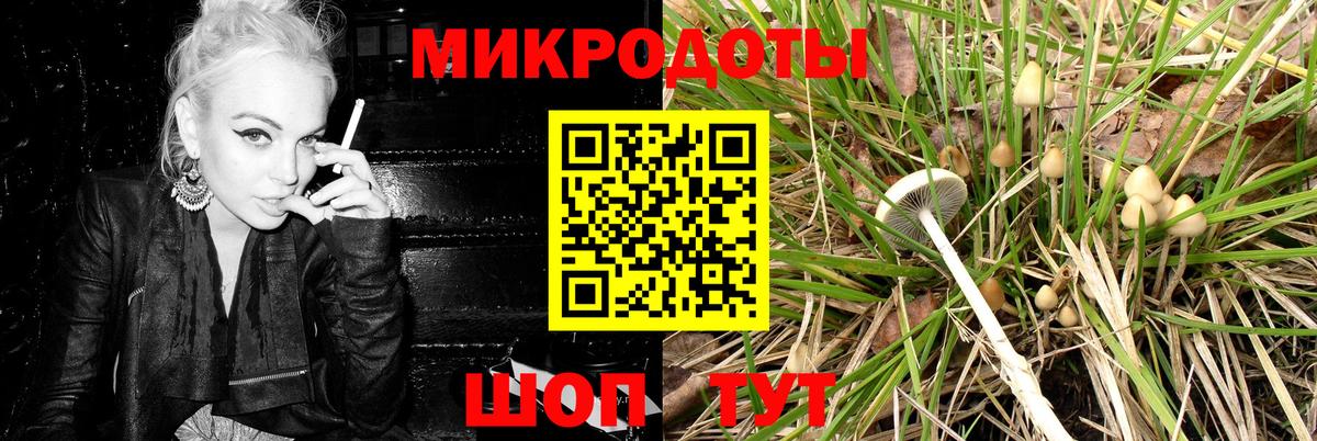 Дубна  где продают наркотики  Вход с VPN  Галлюциногенные грибы Cubensis 